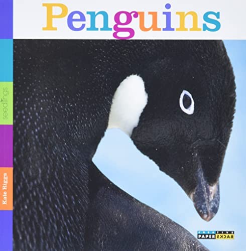 Seedlings: Penguins