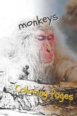 Monkeys Coloring Pages: Beautiful Coloring Pages for Adults Relaxation