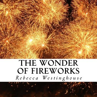 The Wonder of Fireworks: A text-free book for Seniors and Alzheimer's  patients - Magers & Quinn Booksellers