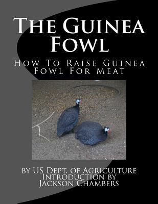 Raising Guinea Fowl: The Ultimate Guide