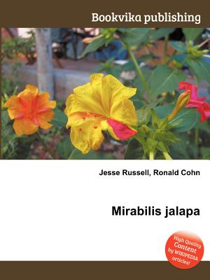 Mirabilis jalapa - Wikipedia