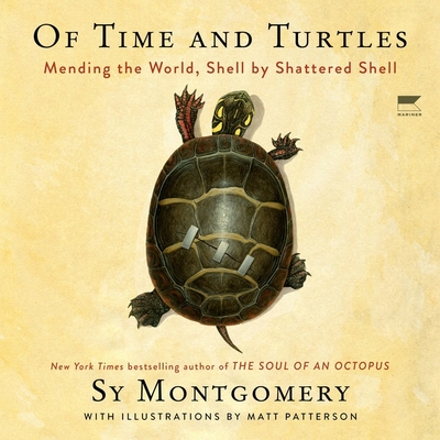 Of Time and Turtles: Mending the World, Shell by Shattered Shell by Sy  Montgomery, Matt Patterson, Hardcover